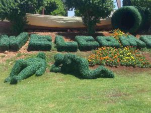 50063293_2177073892555978_3334259227295219712_n