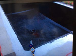 50276738_2137307493001933_2958768112259825664_n