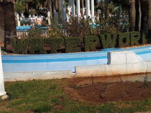 50658274_2337355519610918_8333903684450648064_n