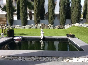 51038286_2217690348484335_7621006174934007808_n