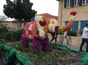 51096606_2141403472841121_2621987447268966400_n