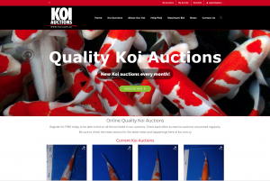 Koi-Fish-Auctions-Cyprus