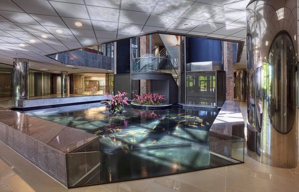 indoor-pond3