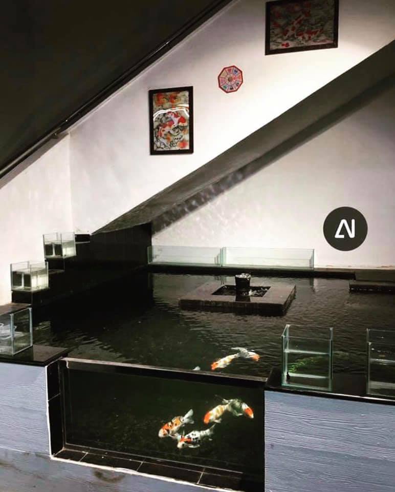 indoor-pond4