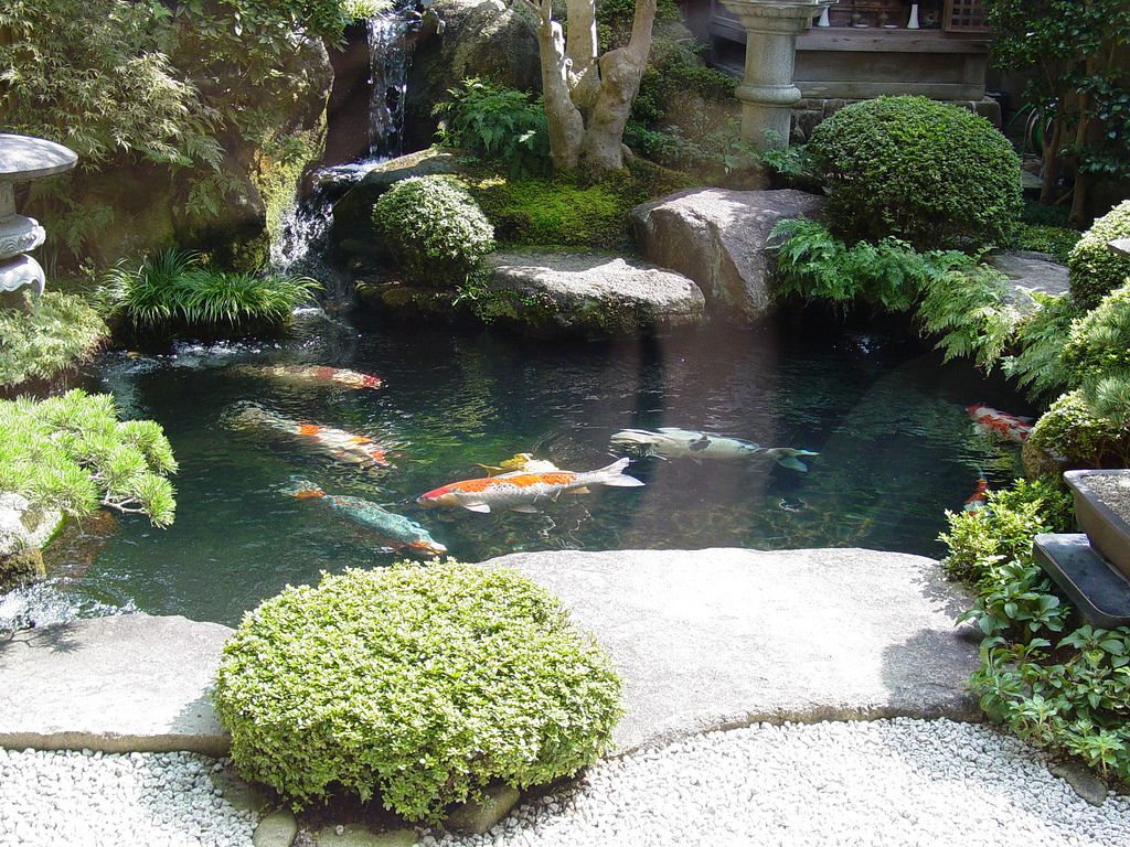 koi-pond-ideas11
