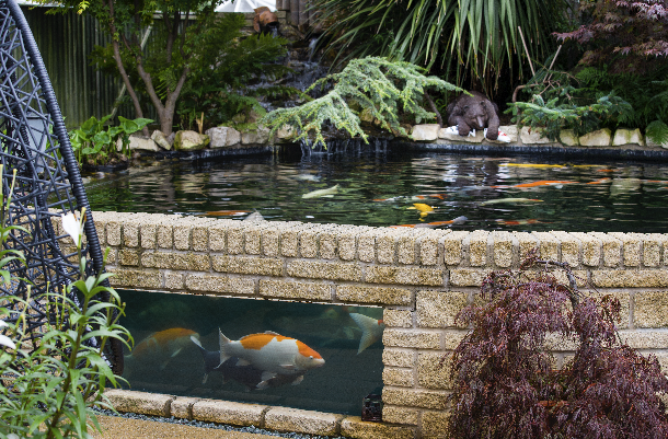 koi-pond-ideas20