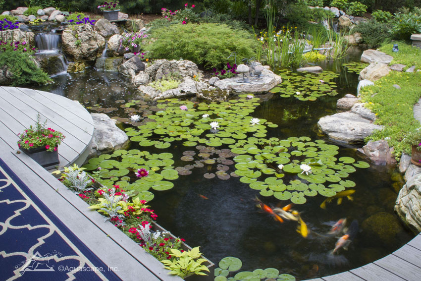 koi-pond-ideas21