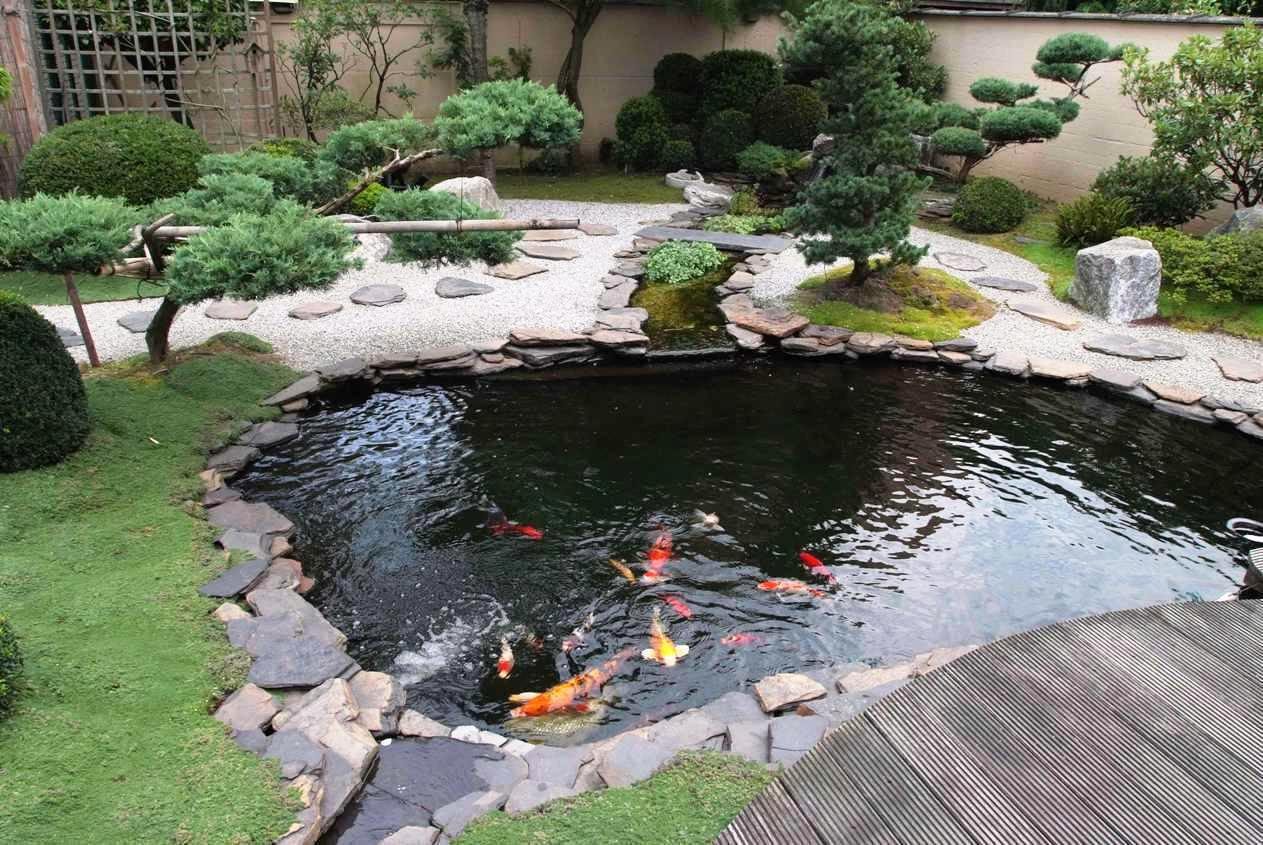 koi-pond-ideas9